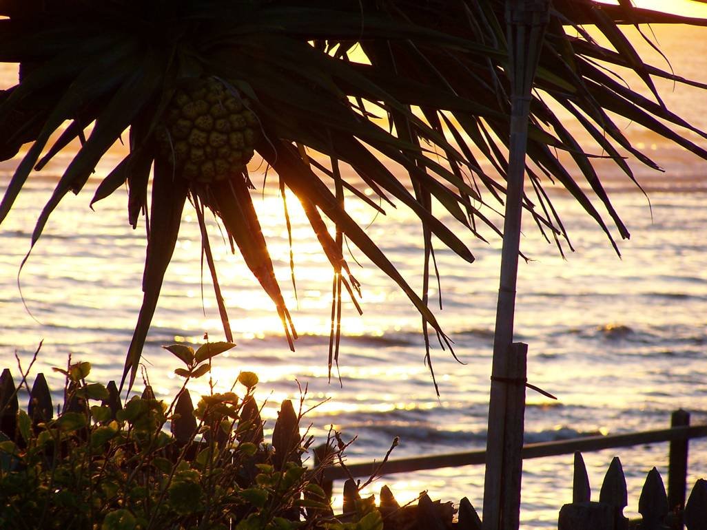 the good life is a process